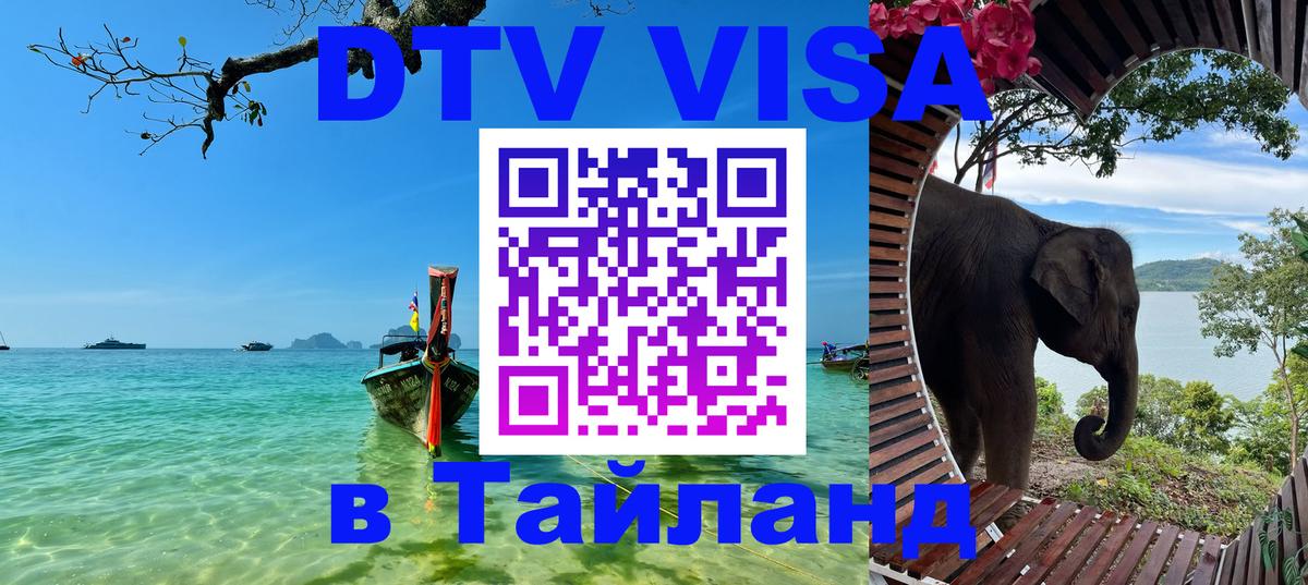 Оформление DTV визы под ключ: стоимость и тарифы, только загранпаспорт - 20.11.2025 